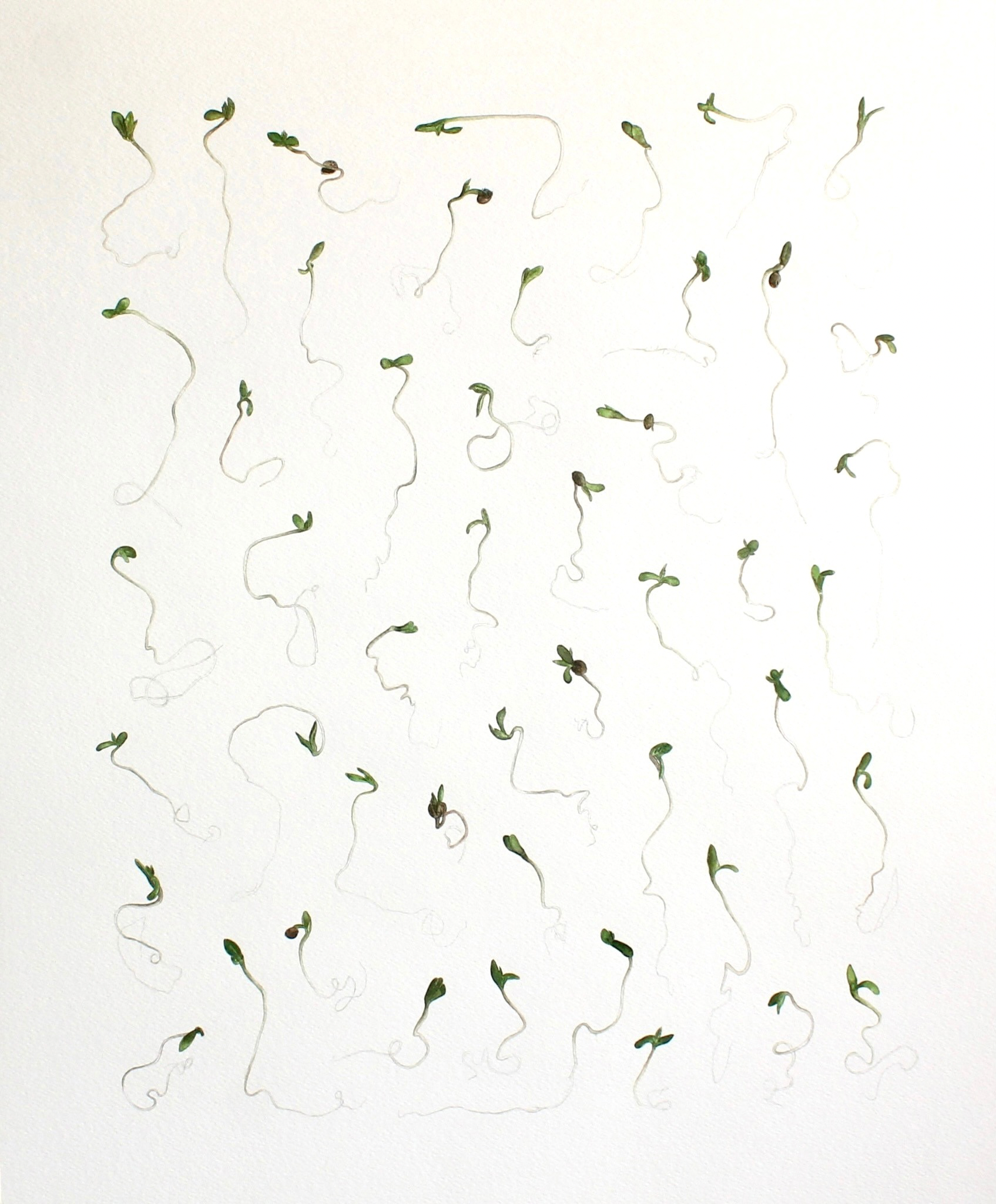 Obra de arte 5